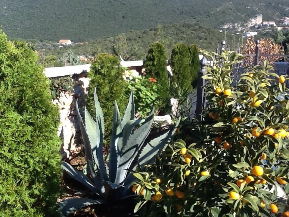 Villa Mirista Луштица Номер фото